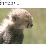 [NCT드림] 이거 <b>마크</b>