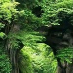 시인 김남열 | 산