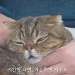 나이 들수록