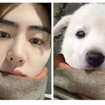 [엔하이픈] <b>박성훈이</b> 백구인 이유