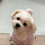 [엔하이픈] 마음이 너무 잘 커줬다....