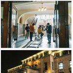 시민단체 출신 특채 서기관이 잘라버린 100년생 나무