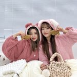 [모두드루와] 세상에서 제일 귀엽고 <b>무해</b>한 조합 토댕즈