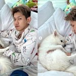 크러쉬, 반려견 <b>두유</b>와 행복 모먼트.."귀여워요" [스타IN]