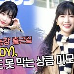 [모두드루와] <b>TV</b>동물농장 출근길 조이