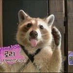 [드루와] 로리한테 <b>종업원</b> 시켜서 난리남