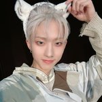 회머+파렌