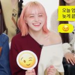 엔믹스 애들 진짜 열심히 사는 것 같음