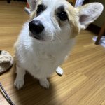 재수했는데 우울해 죽겠다