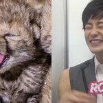 [NCT드림] 짱쎈 <b>치타</b>가 울부지저따.