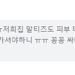 고객 <b>리뷰</b>에 급발진 하는 어느 판매자ㅋㅋㅋ