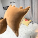 [드루와] 내 전남친들 공통점 소름돋음