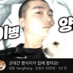 [댓글부탁해] 조규성 양팡 동생 <b>닮음</b>