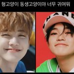[NCT드림] <b>내</b>가 <b>사랑</b>하는 고양이들