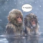 여드름패인흉터 어떻게 없애나요?