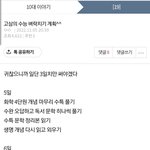 수능 <b>벼락</b>치기 한다고 했던 판년데