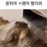 아빠한테 <b>점수</b> 몇 나왔다 말하기 쪽팔림