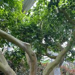 <b>식물원</b> 구경갔었음