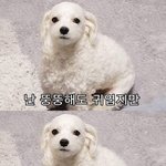 하 축구 빨리 <b>해라</b>