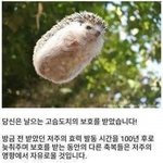 [드루와] 와 나 방금 레깅스핏 쩌는 <b>여자</b>분 <b>봄</b>