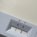 이렇게 <b>선명</b>하기 있기..?