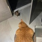 기하에서 <b>미적</b>으로 갈아탄다