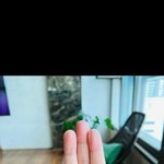 니네 이동작 <b>해보셈</b>