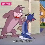 [19] 강아지한테 처맞는 고양이