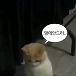 [드루와] 얘더라 너네 <b>용돈</b> 얼마 받음