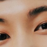 [NCT드림] 나 진심 요 갈매기 <b>눈썹</b>에서