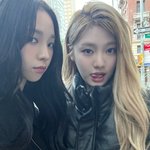 <b>이사진</b> 닝닝 좋못죽