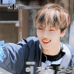 [NCT드림] 나에 최애는 누구일까 순서는 <b>무작위</b>