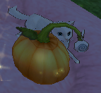 [레이] 베리레드톡)<b>호박</b>대왕?