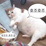 <b>모임</b> 나만 <b>축구</b> 보냐