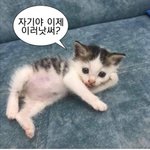 제트<b>플립</b>4 후기