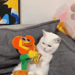 [방탄소년단] 민윤기 김태형 자강두천 <b>new</b> 짤ㅋㅋㅋㅋ