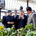 <b>두</b> <b>손</b>으로 딸기 먹는 건...