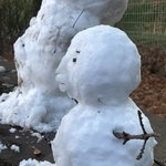 이 상황에 친구가 이런 소리 하면 어떨 거 같아