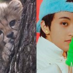 [NCT드림] <b>오웅</b>