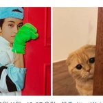 [NCT드림] 애옹애옹