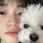 [NCT드림] <b>분명</b> 천러능 고양인데 왜 대갈이랑 똑같이 생겼지?