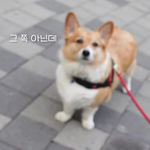 아리아나그란데 노래 조은거 뭐있음
