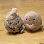 설윤진 <b>부활</b> 시켜