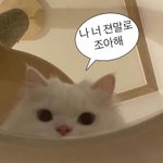 [드루와] 너네가 좋아하는 <b>mbti</b> 말해봐