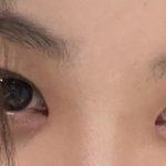 <b>눈</b> 닮은꼴 찾아줘
