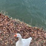 [NCT드림] 애들아 이것좀봐