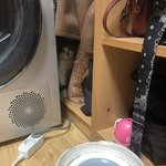 [고양이] 우리 애교냥이 복희 보고 가세용!!