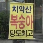 [NCT드림] 광화문 가서 <b>피켓</b>이라도 들고싶운 심정...