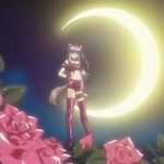 [19] <b>베리</b>베리 뮤우뮤우 루비 매력 쩔지 않냐