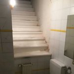 이상한 집만 데려가는 <b>부동산</b> 사장님